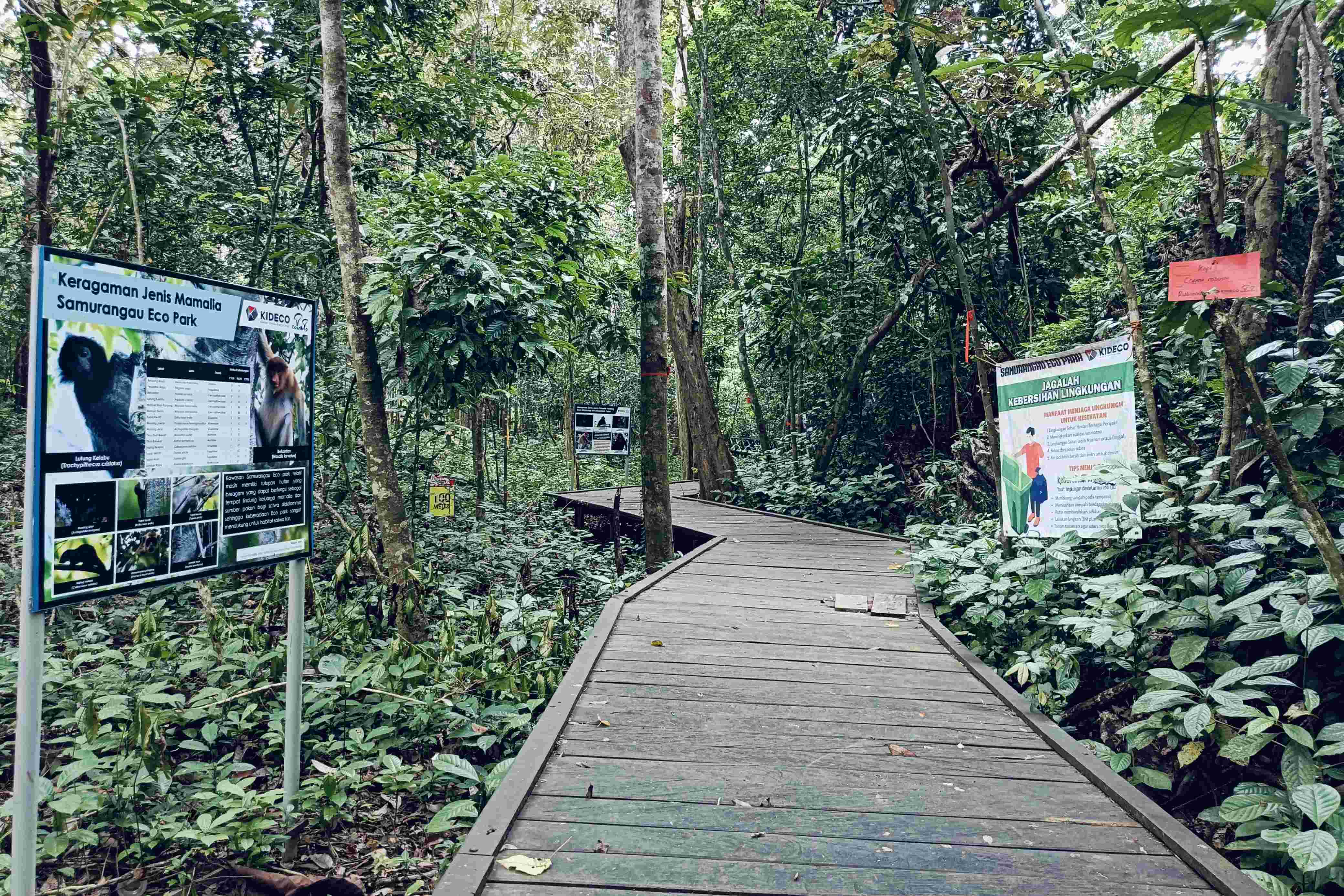 Samurangau Eco Park, Wisata Petualang di Hutan Paser