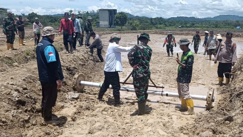 DPRD Mahulu Dorong Pengembangan Padi Sawah Diperkuat