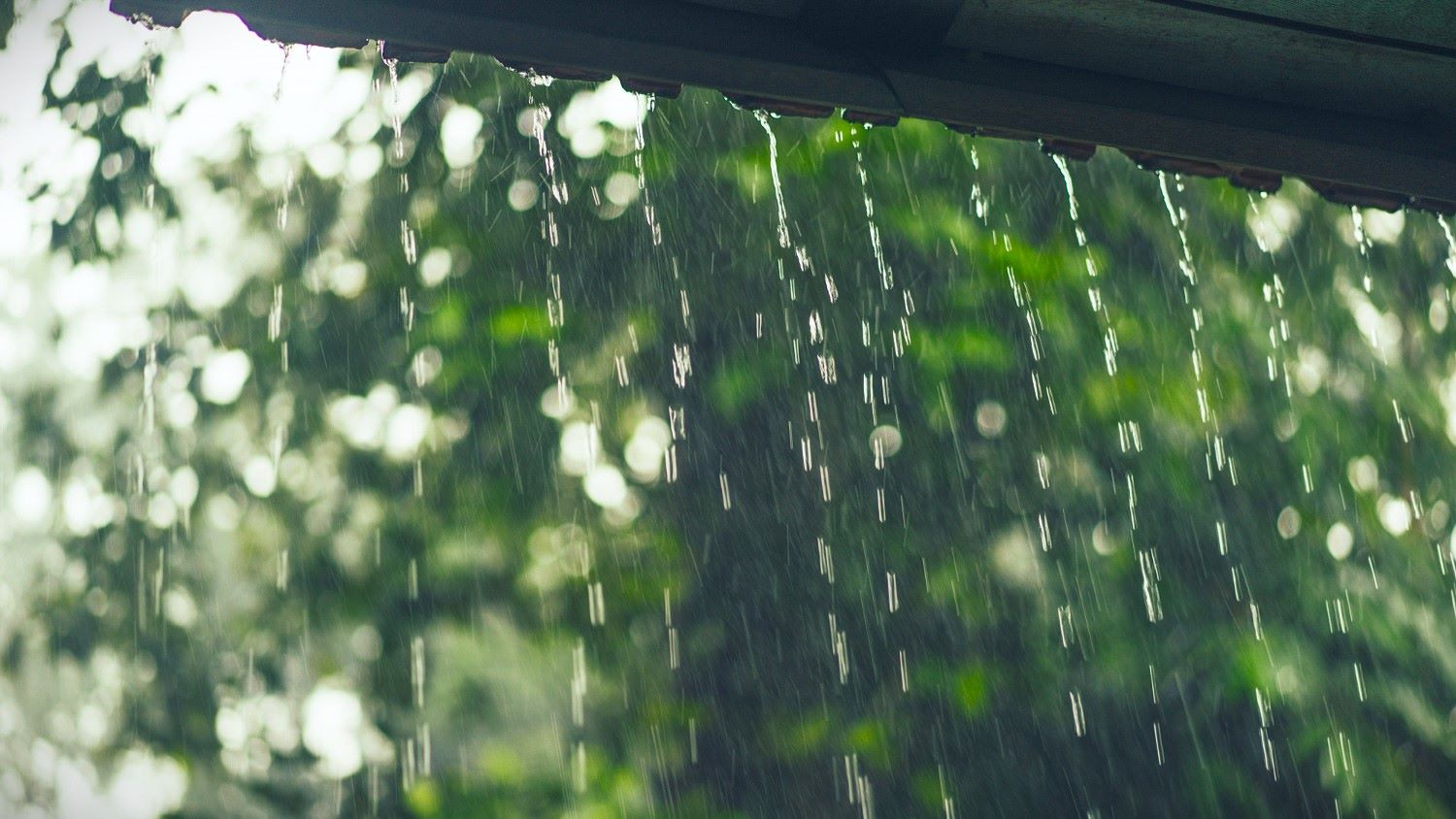 Ramalan Cuaca Kaltim dan IKN, 4 Maret 2026, Cek di Sini!