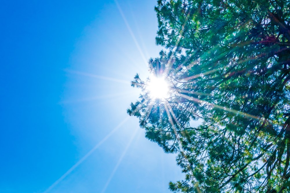 Ramalan Cuaca Kaltim dan IKN, 2 Oktober 2026, Suhu Udara Capai 34 Derajat Celcius!