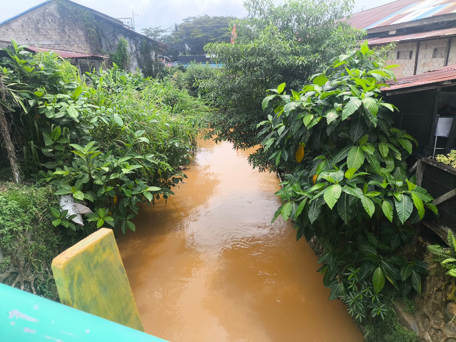 Air Sungai Dahlia di Bontang Berubah Warna, Ternyata Ini Penyebabnya