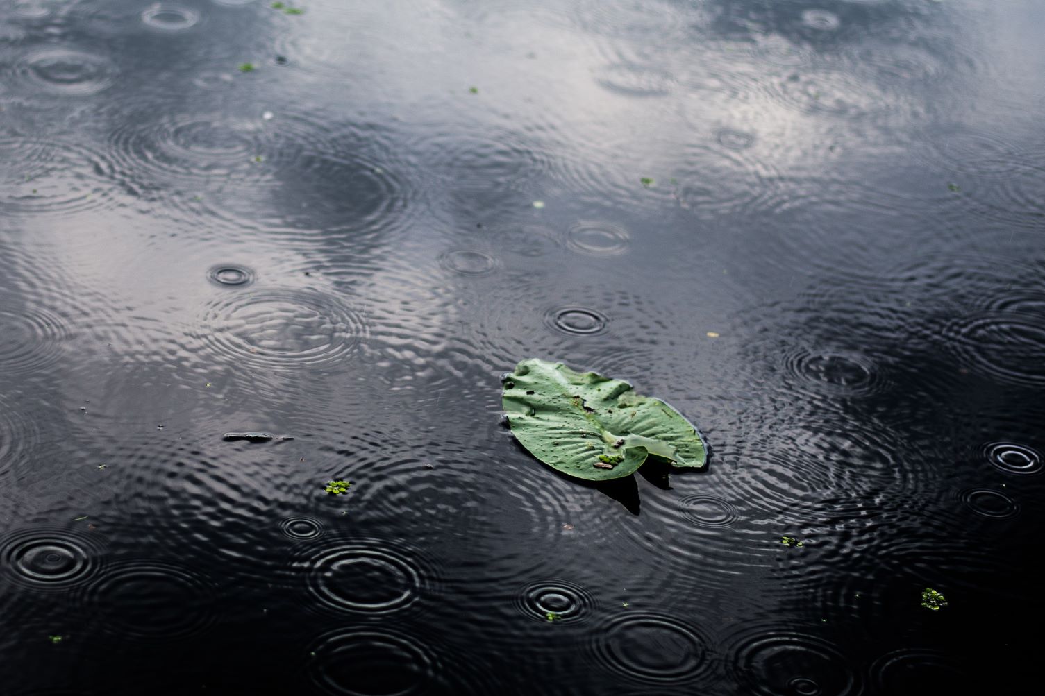 Ramalan Cuaca Kaltim dan IKN, 7 Januari 2026, Cek di Sini!