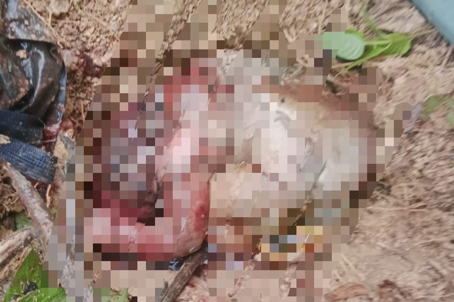 Jasad Bayi Ditemukan di Pinggir Jalan Gg Komando Sangatta, Polisi Minta Rekaman CCTV 