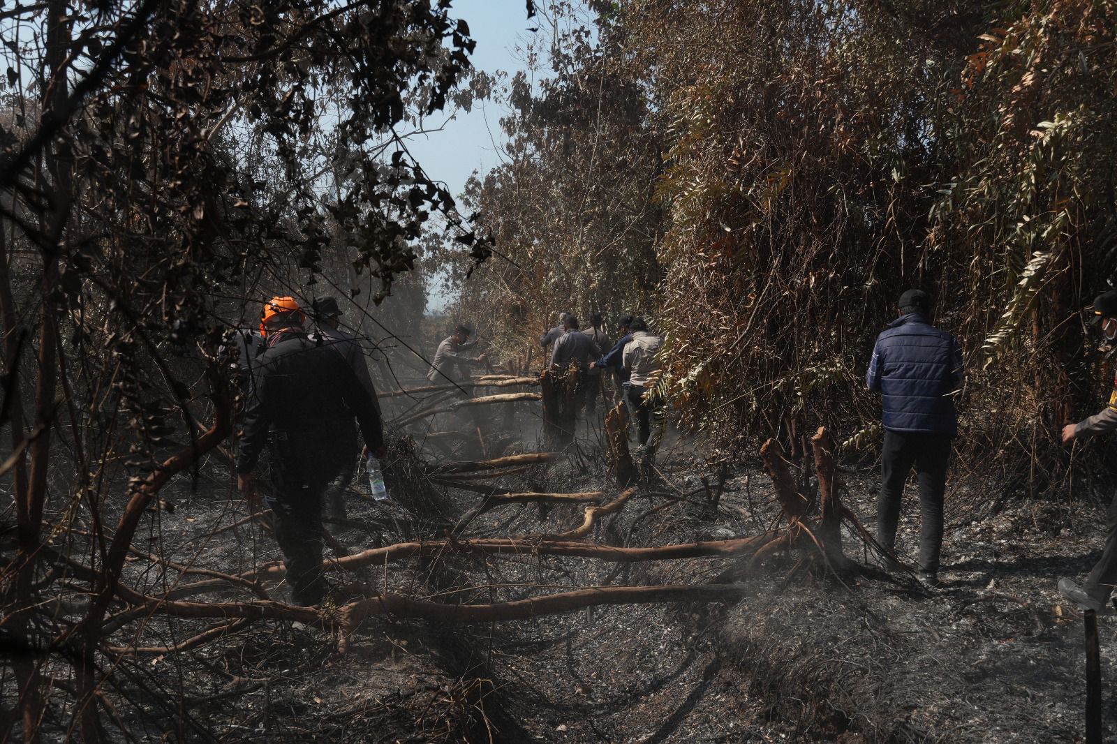 Sehari Lima Titik Karhutla Melanda Sangatta, 9,5 Hektare Lahan Terbakar 