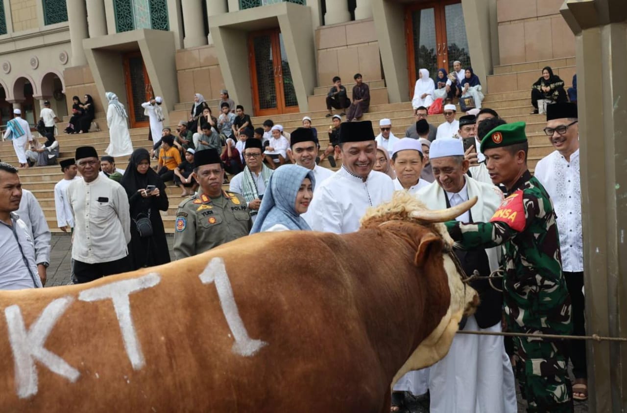 Wagub Kaltim Sumbangkan 21 Ekor Sapi Kurban ke Islamic Center, Bakal Disembelih Sabtu Besok