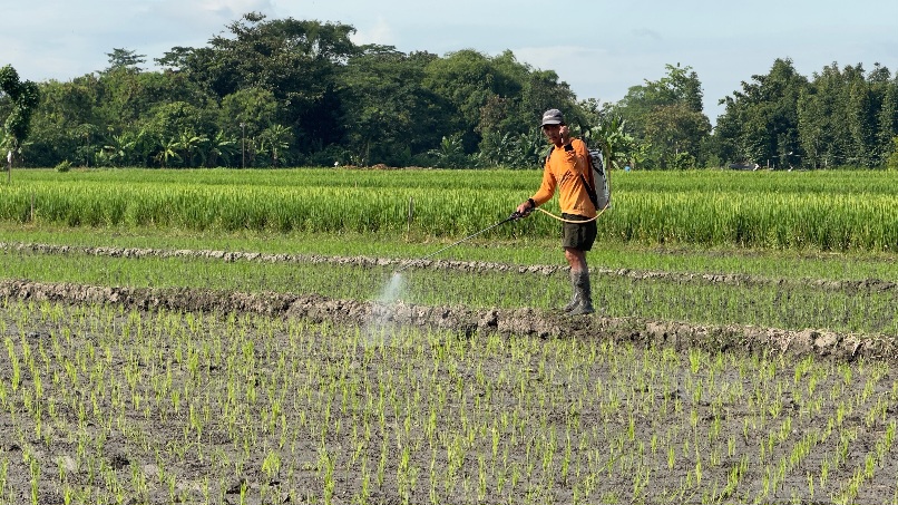 Kontribusi Agrosolution PKT:  Naikkan Produksi Pertanian, Jaga Ketahanan Pangan