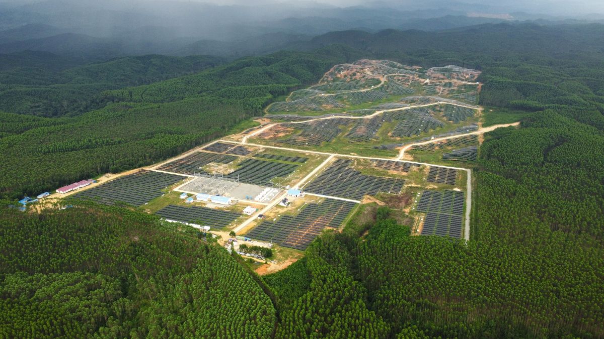 Habis Eukaliptus Terbitlah Panel Surya: PLTS IKN dan Dilema Lingkungan di Kaltim 