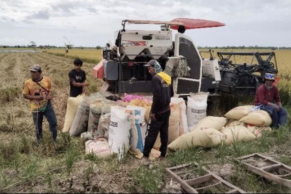 Bulog Serap 10.600 Ton Gabah Petani Paser dan PPU hingga April 2026