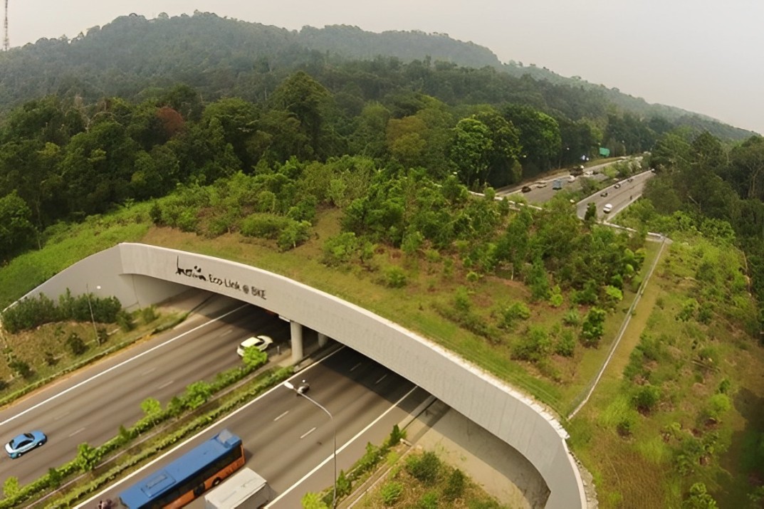 Membelah Hutan Lindung, Tol IKN - Balikpapan Dilengkapi dengan Jembatan Satwa