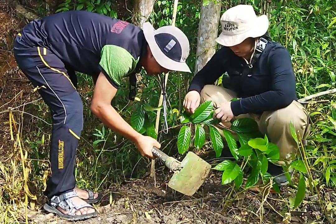 Hijaukan Bumi, Ratusan Bibit Ulin Ditanam di Tahura Lati Petangis