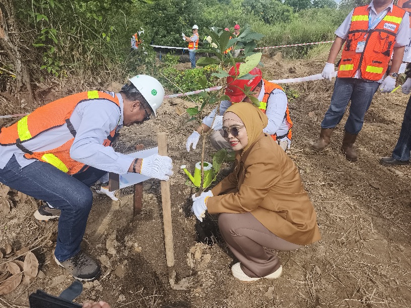  Perkuat Ekosistem Pesisir, PT IMM Rehabilitasi Mangrove dan Terumbu Karang 