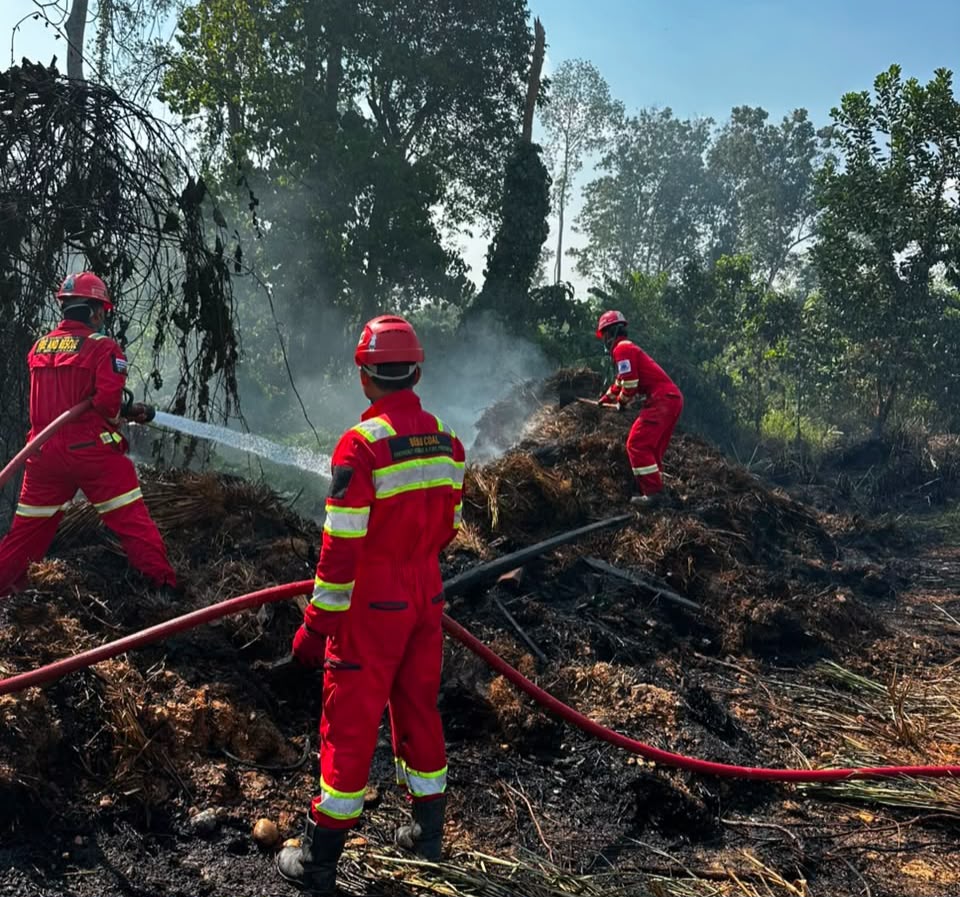 Berau Coal Kerahkan Tim Emergency Response Group Padamkan Karhutla 