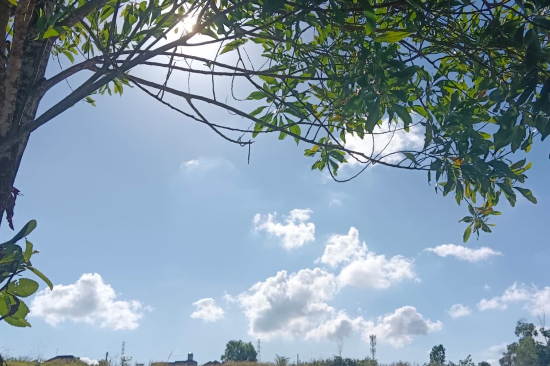 Ramalan Cuaca Kaltim dan IKN, 25 Juni 2026, Cek di Sini!