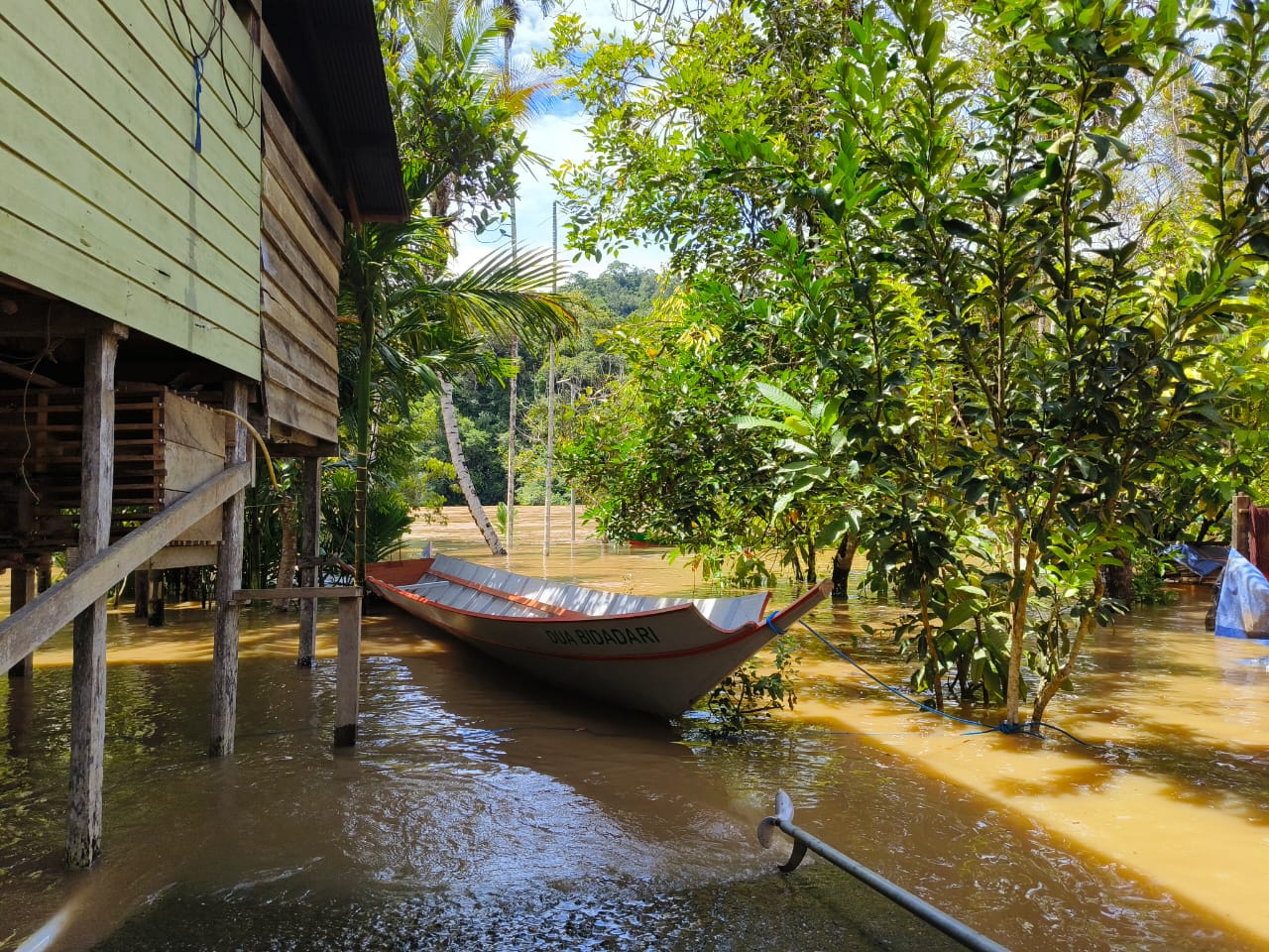 Sungai Mahakam Kembali Meluap, Sejumlah Kampung di Mahulu Turut Terdampak