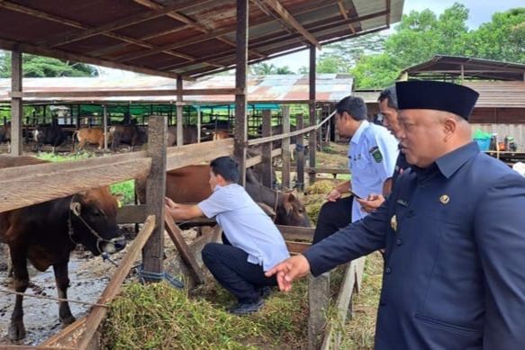 Wabup Gamalis Memastikan Kondisi Hewan Kurban di Berau dalam Keadaan Sehat dan Layak Konsumsi