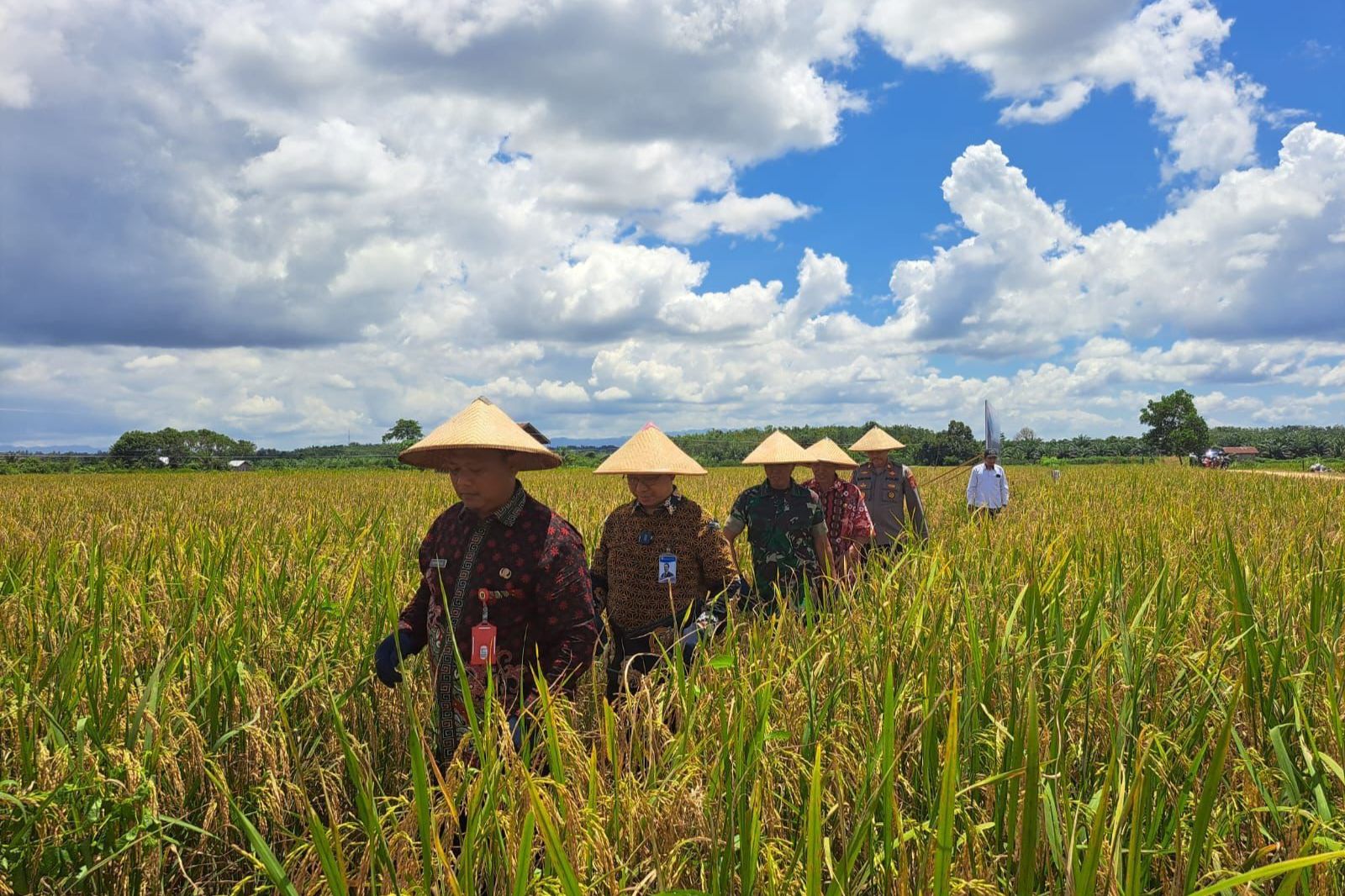Target Cetak Sawah Berau Naik pada 2026, Pemkab Bidik 2.000 Hektare Lahan Baru