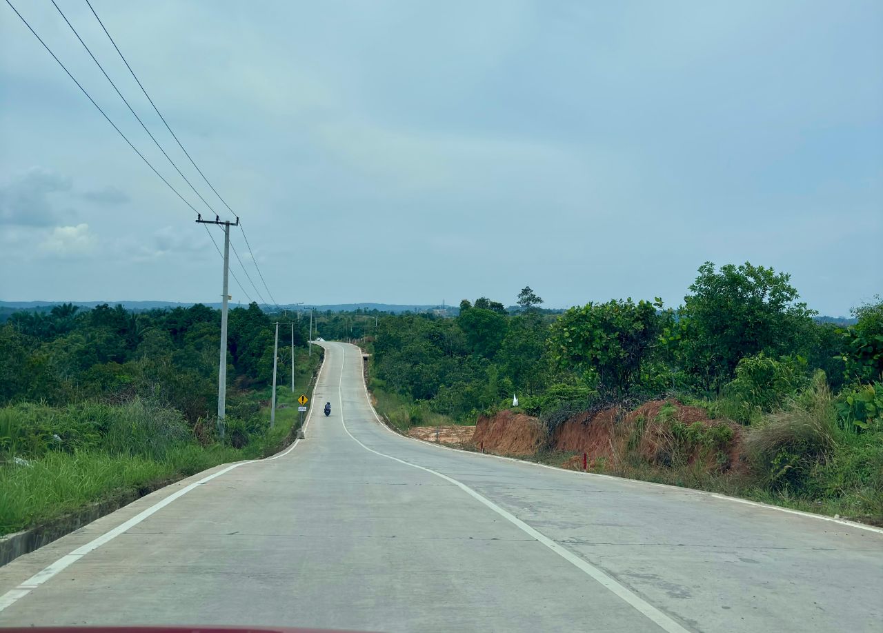 Kaltim Berpotensi Hadapi Kekeringan,  Ini Daerah Paling Rawan Karhutla Menurut BMKG