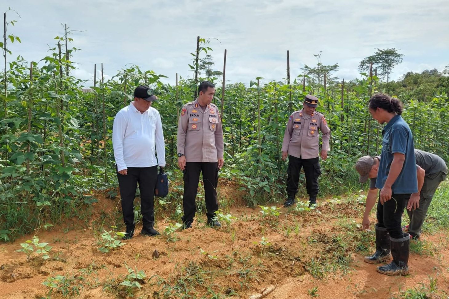 Upaya Mengurangi Pasokan dari Luar Daerah, Mahulu Kembangkan Pertanian Terpadu