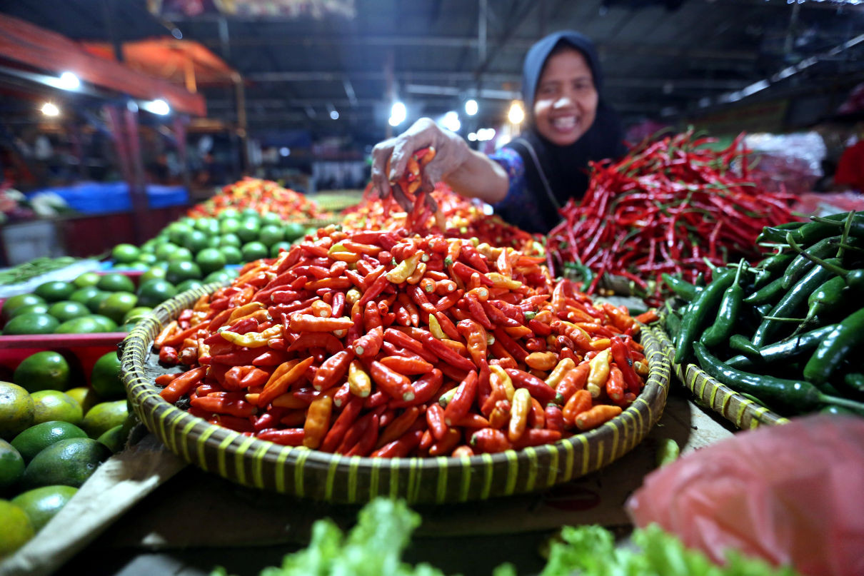 Harga Cabai di Kabupaten Berau Kian Menggigit Jelang Akhir Tahun