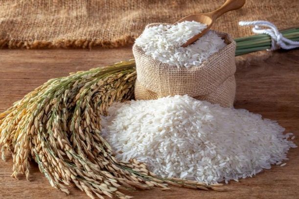 Akibat Gelombang Panas, Jepang Terancam Krisis Beras