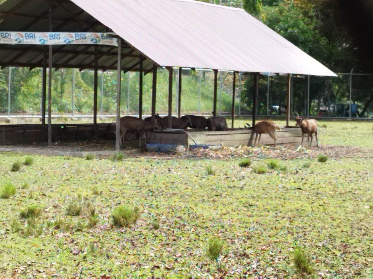 Lokasi Taman Kehati PPU Direncanakan Dibangun di Belakang Kantor Bupati