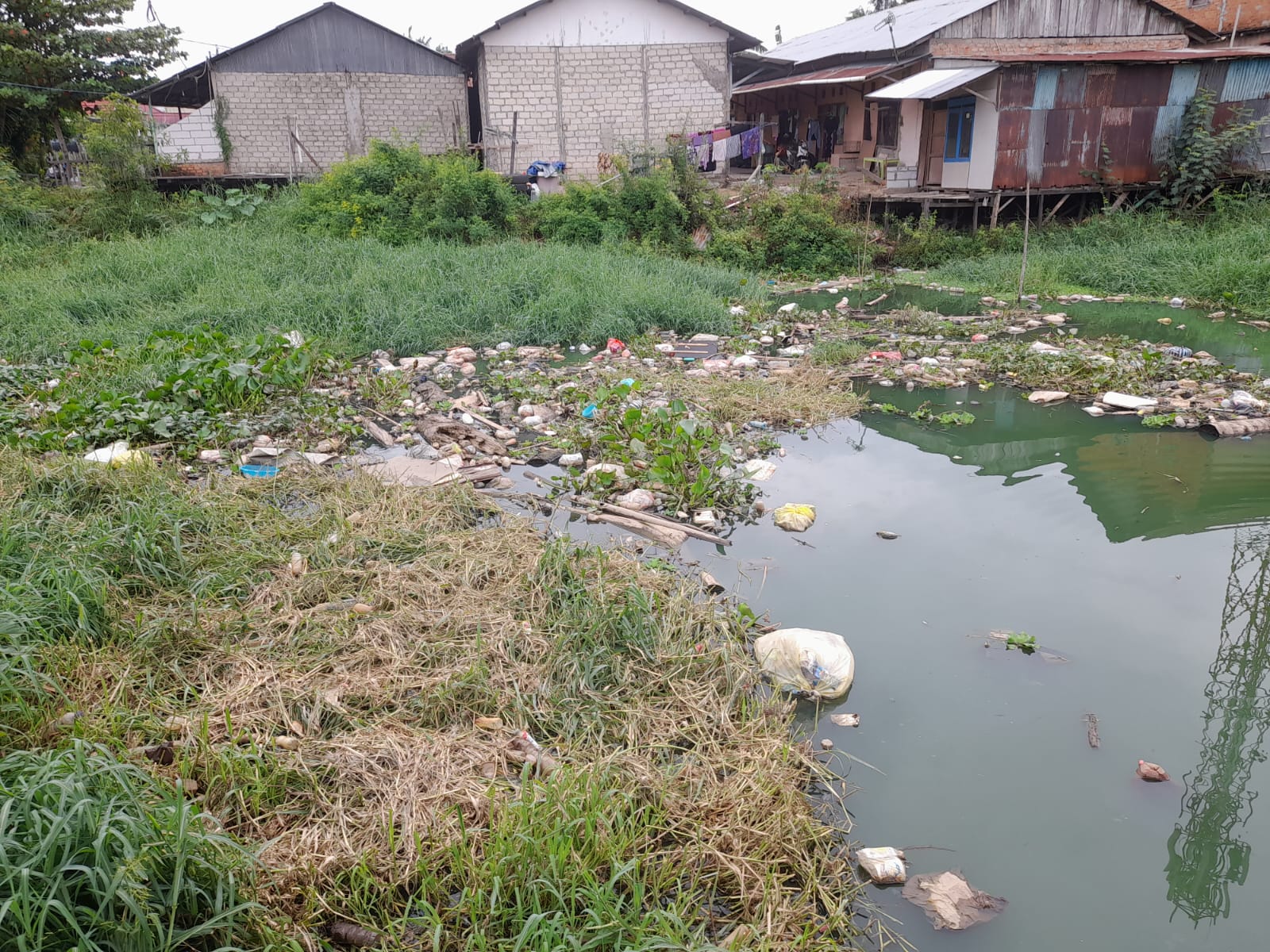 Kondisi Anak Sungai di Jalan PM Noor Samarinda: Sampah Menggenang, Sedimentasi Tinggi 
