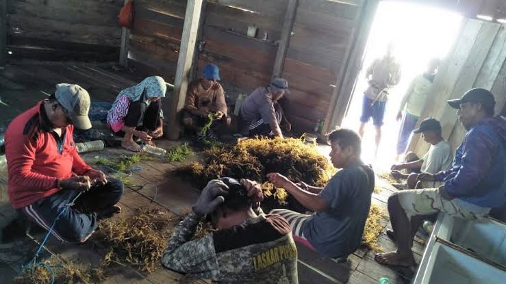 Pemkab Berau Mulai Genjot Potensi BUMK, Kurangi Ketergantungan Terhadap Tambang