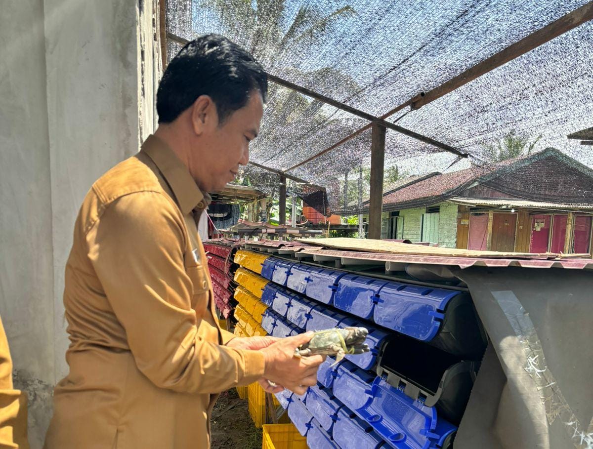 Kembangkan Potensi Lokal Melalui Inovasi Box Apartemen Kepiting di Pesisir PPU