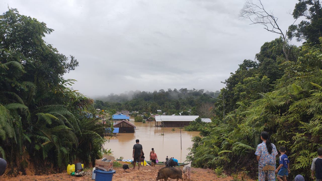 Berau Diterjang Banjir Lagi, Sejumlah Bangunan di Hulu Segah Tenggelam Hingga Rusak dan Hanyut