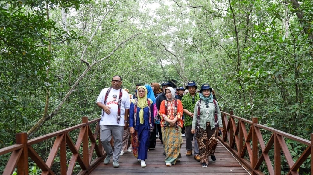 Revitalisasi Wisata Mangrove demi Lestarikan Lingkungan