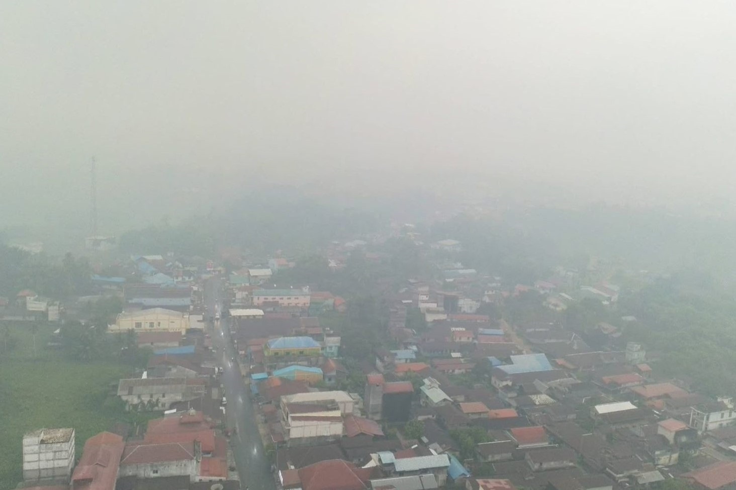 IDAI Ingatkan Bahaya Asap Karhutla bagi Anak, Ini Cara Mencegahnya