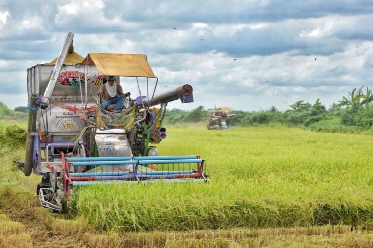 Bulog Berencana Akuisisi Perusahaan Beras di Kamboja, ini Komentar Ombudsman RI