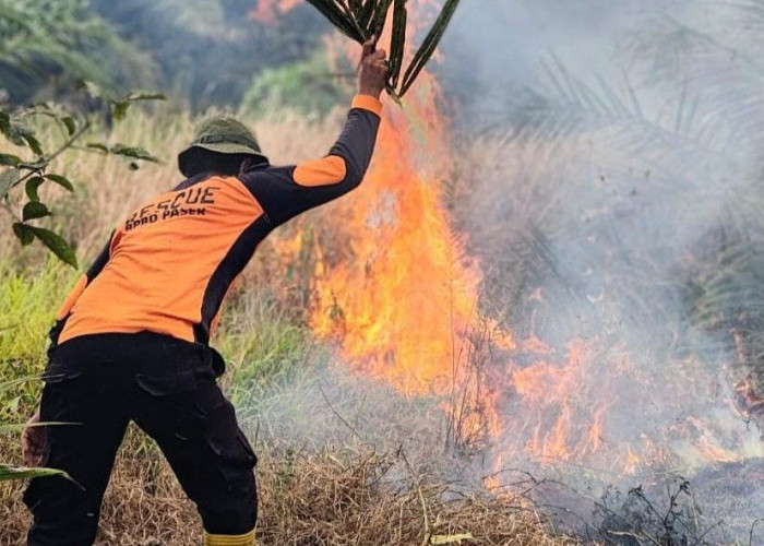 Waspadai Kemarau Panjang Tahun Ini, BPBD Paser Mulai Siagakan Tim Reaksi Cepat