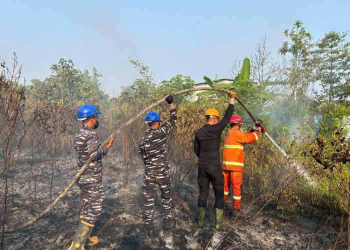 Angin Kencang Picu Api Meluas, 3 Hektare Lahan Gambut Singa Geweh Terbakar