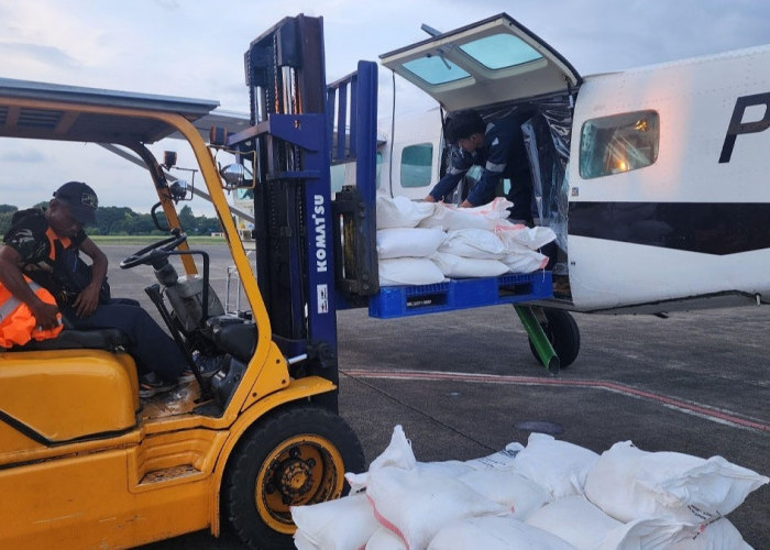 BMKG Tabur Es ke Udara untuk Atasi Kabut Asap Karhutla Kalimantan dan Sumatera