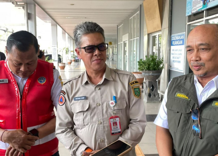 385 Hektare Lahan Terbakar, BPBD Ungkap Alasan Belum Maksimalnya Pencegahan