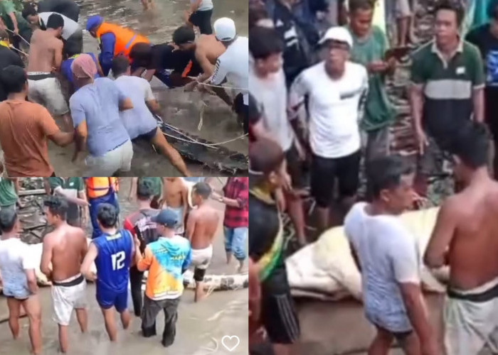 Korban Buaya Sungai Arut Ditemukan setelah 10 Jam Pencarian