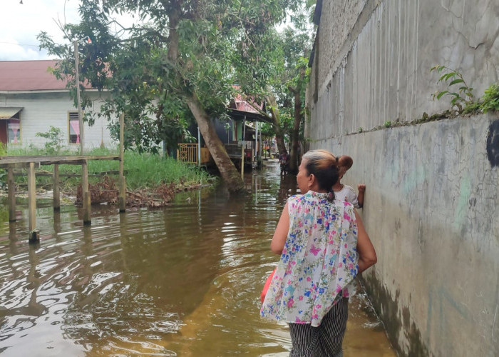 Kata BMKG Soal Efek La Nina Lemah: Kaltim Musim Hujan Panjang, Samarinda Rawan Banjir 