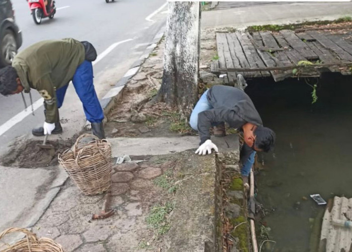 Pemeliharaan Rutin Bahu Jalan Kota Balikpapan oleh Dinas PU, Pastikan Infrastruktur Terjaga