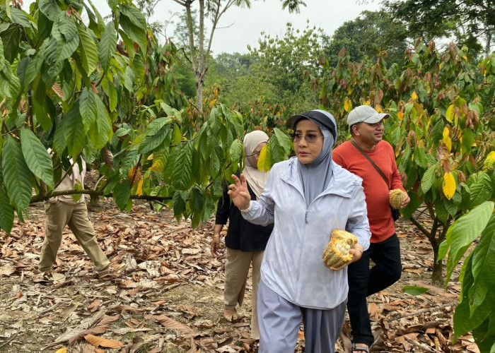 Bertolak ke Kementerian Lagi, Bupati Sri Juniarsih Bawa Cokelat Berau Go International