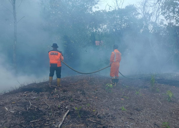 Karhutla Bontang Meningkat, Bontang Selatan Catat Kasus dan Lahan Terbakar Terluas