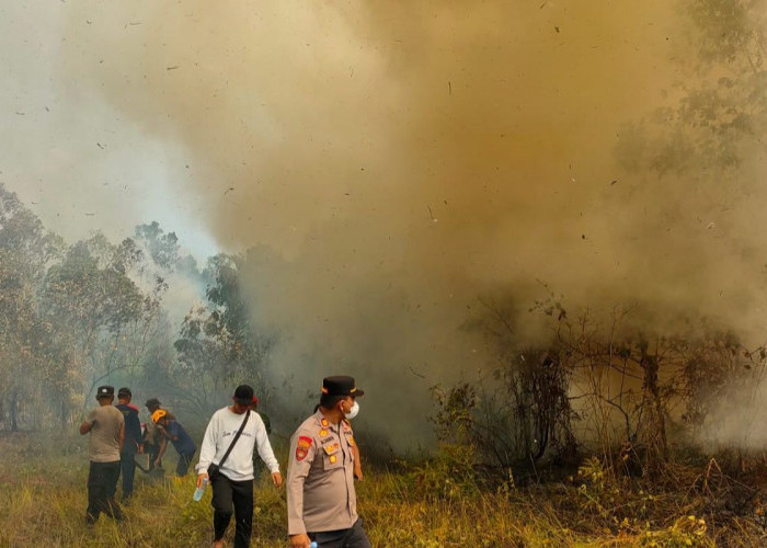 Kebakaran Lahan 4 Hektare di Lamaru Balikpapan, Api Diduga Berasal dari Pembakaran Bata
