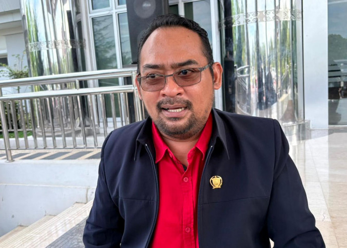 Harga Sawit Anjlok, Faizal Rachman: Kutim Seperti Tidak Punya Bupati dan Dinas Perkebunan