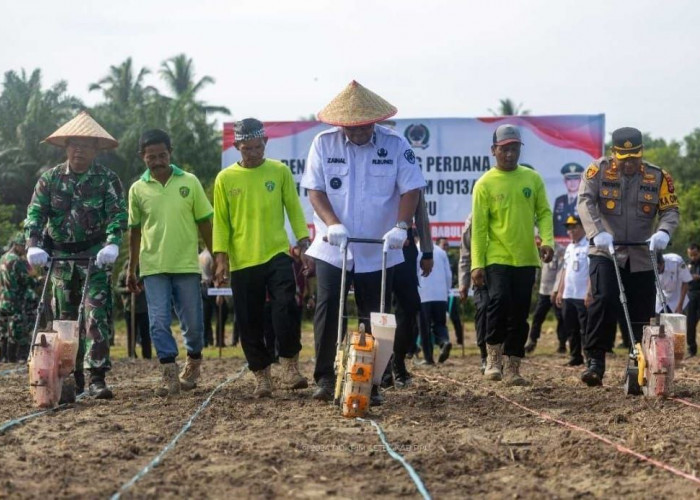 Dorong Pemanfaatan Lahan Tidur, Pemkab PPU Bakal Beri Bibit Gratis