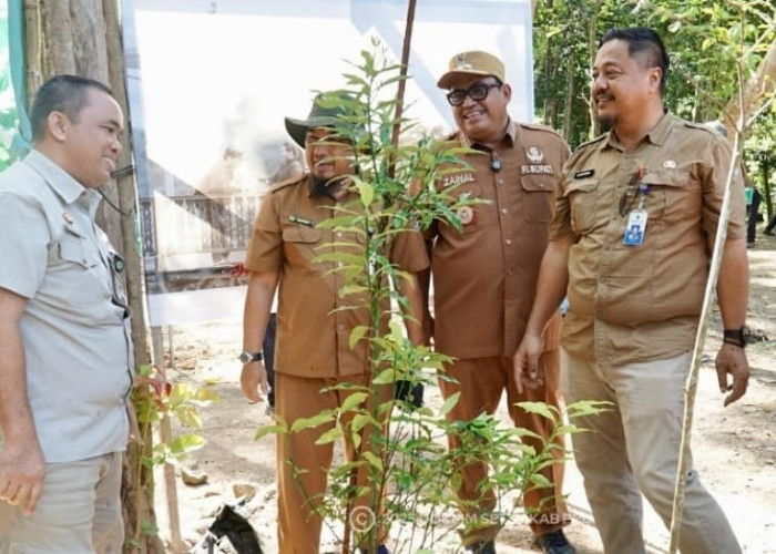 PJ Bupati Tanam Pohon di Lahan Kritis 