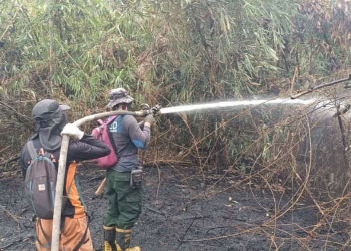 Usut Tuntas Pemilik Lahan Terbakar, Sekda PPU: Penegakan Hukum untuk Memberi Efek Jera