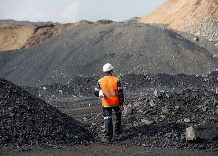 Wacana Pemangkasan Produksi Batu Bara Bisa Timbulkan Dampak Berantai, Kaltim Waspadai Peningkatan Pengangguran