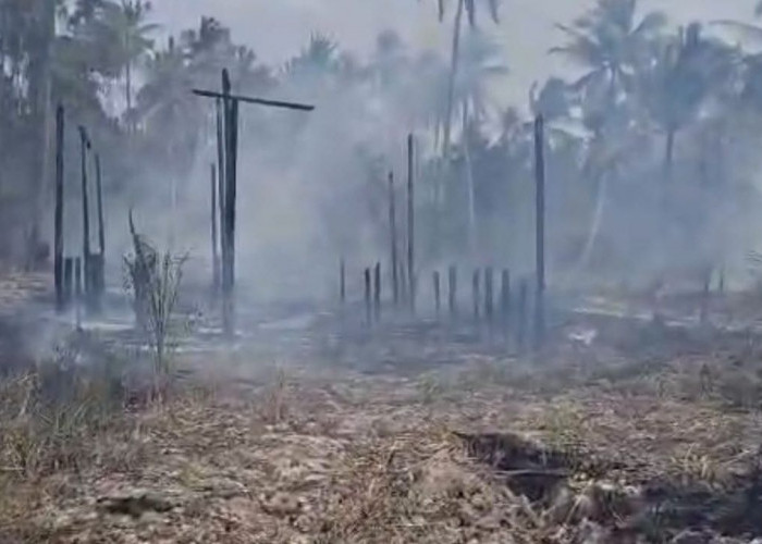 Karhutla di Paser Merembet ke Pemukiman, Satu Rumah Warga Tanah Grogot Ludes Dilalap Api