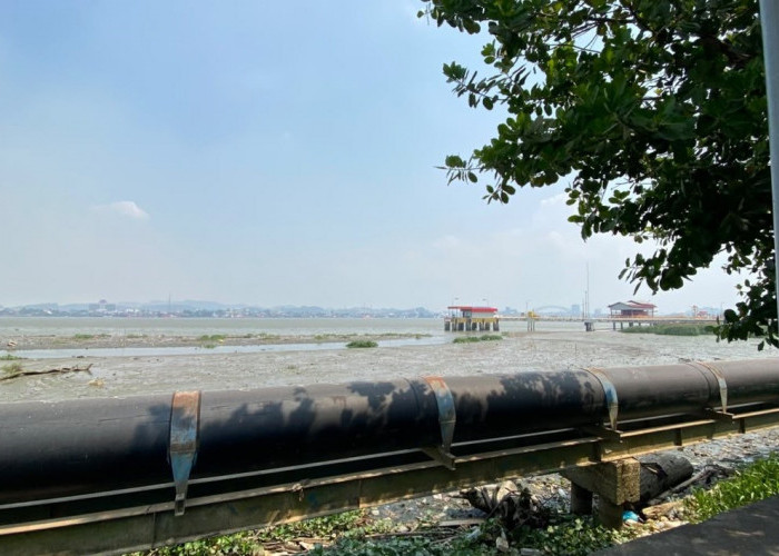 Dampak Kekeringan Meluas, Air Bersih hingga 5.320 Hektare Lahan Pertanian di Kaltim Terancam