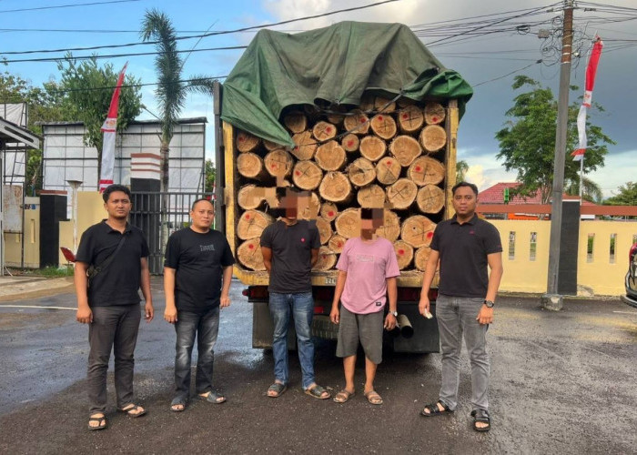 Polisi Gagalkan Penyelundupan Ratusan Batang Kayu, Diangkut Truk Plat Kalsel